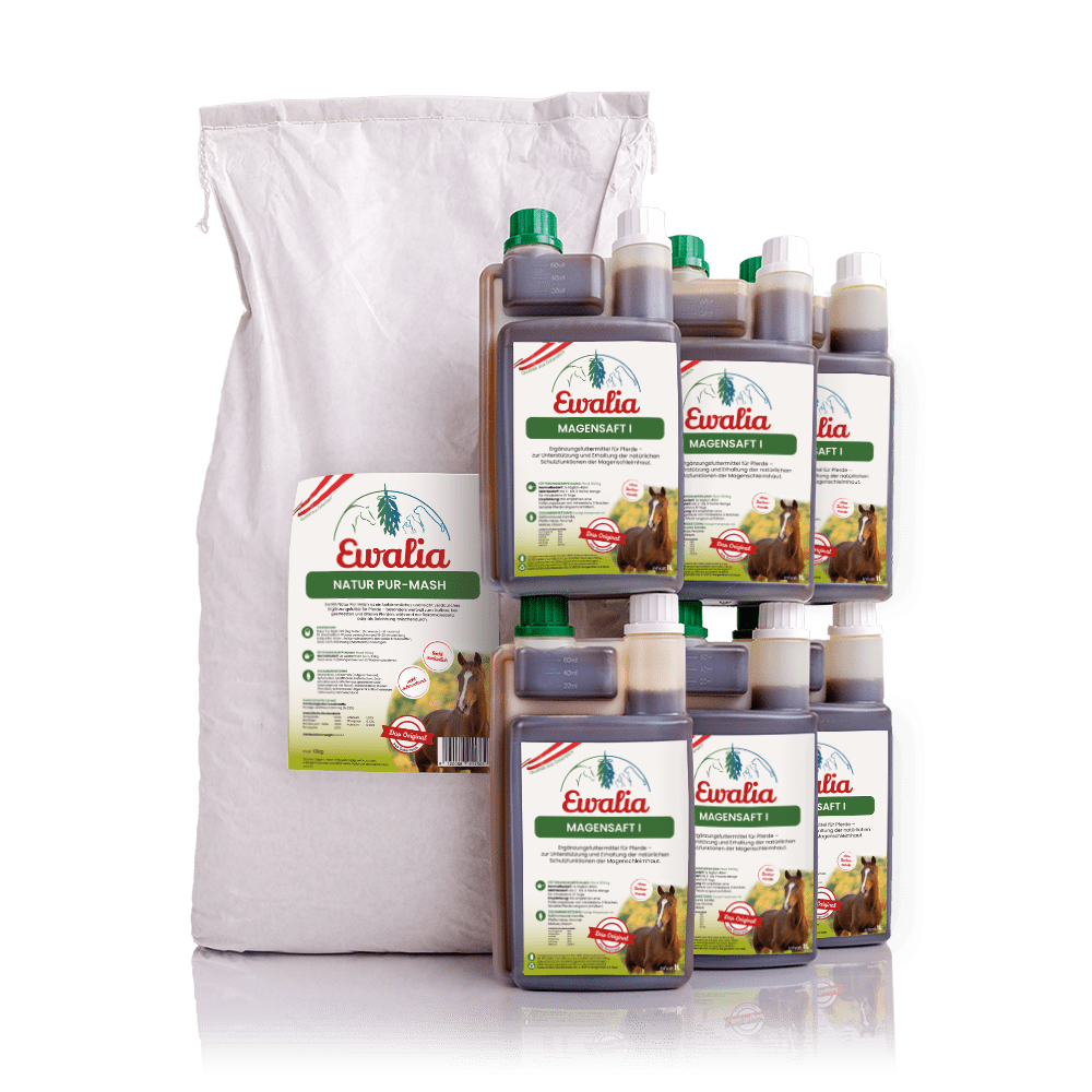 6L Magensaft I + 1x Mash 10kg für Pferde