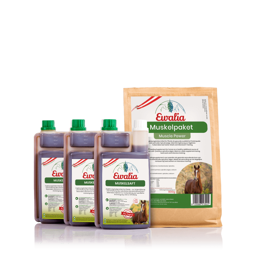 3L Muskelsaft Pferd + 800g Muskelpaket
