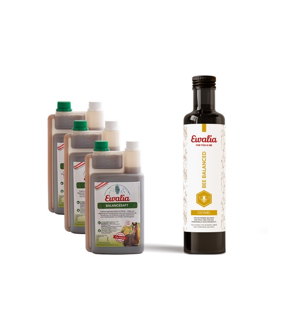 1x EWALIA Oxymel bee balanced + 3x EWALIA Balancesaft für Pferde