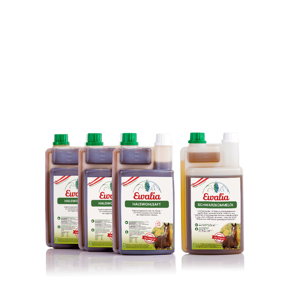 3L Halswohlsaft + Schwarzkümmelöl 1L für Pferde