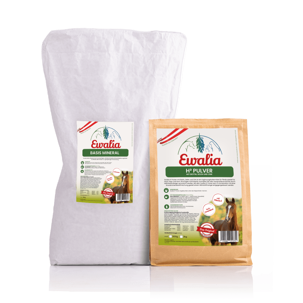 1x Basis Mineral 10kg + 1x H3 Pulver 800g
